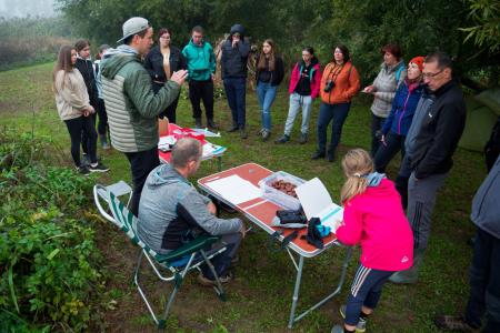 Obrockanje Zdravci 13